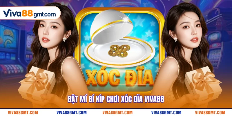 Bật mí bí kíp chơi Xóc Đĩa VIVA88 